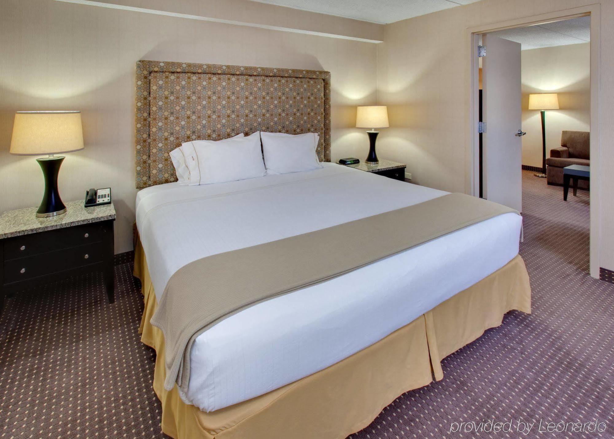 Holiday Inn Express Chicago-Palatine/North Arlington Heights Room photo